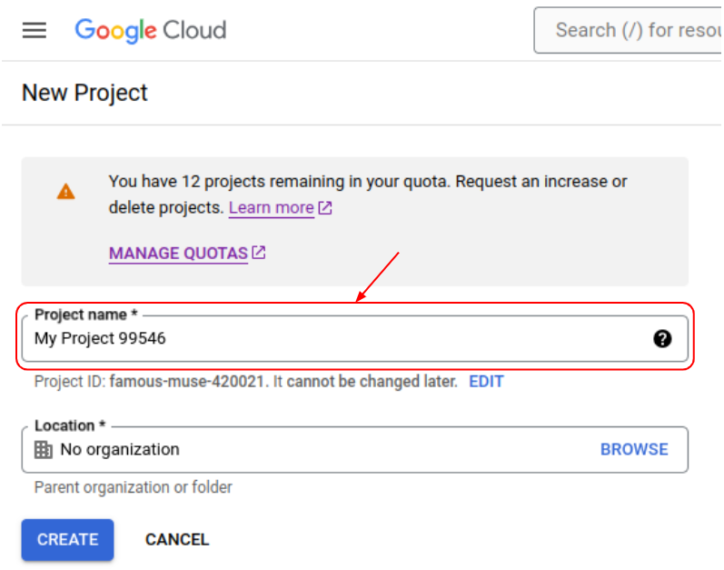 Google console project name