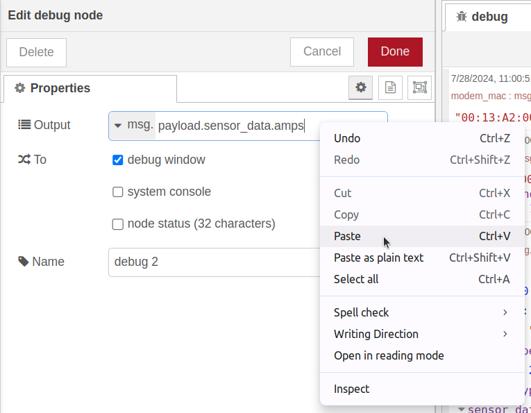 Nodered setting Output property debug node