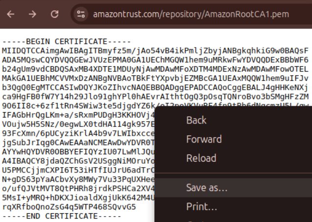 Download Amazon Root CA file from web